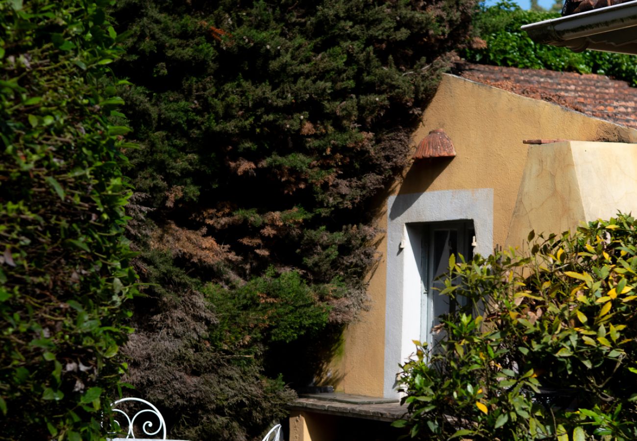 Villa à Nice - Les Amandiers