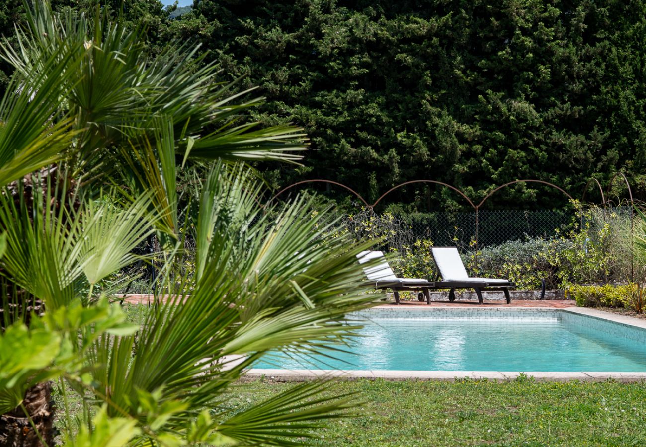 Villa à Nice - Les Amandiers