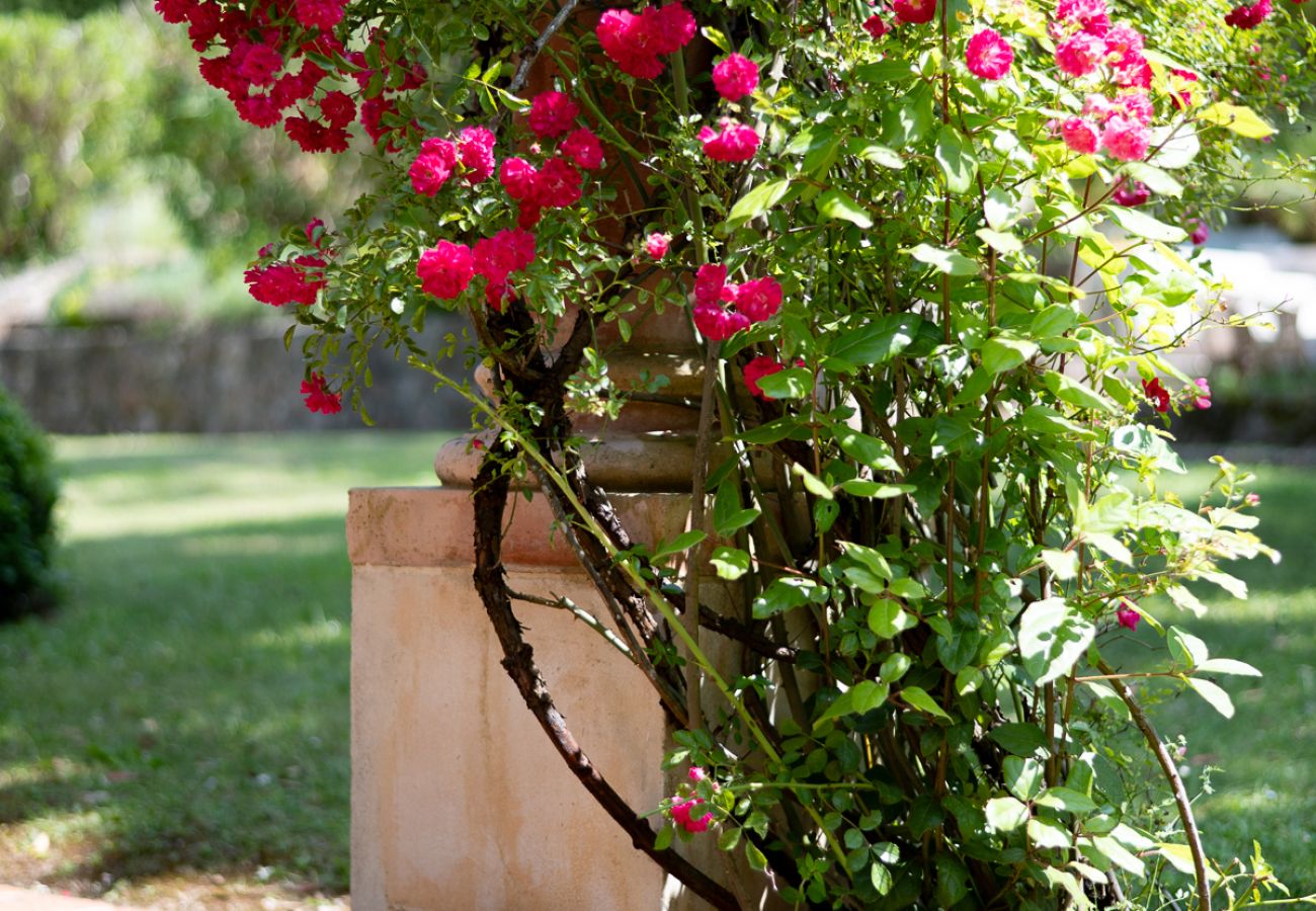Villa à Nice - Les Amandiers