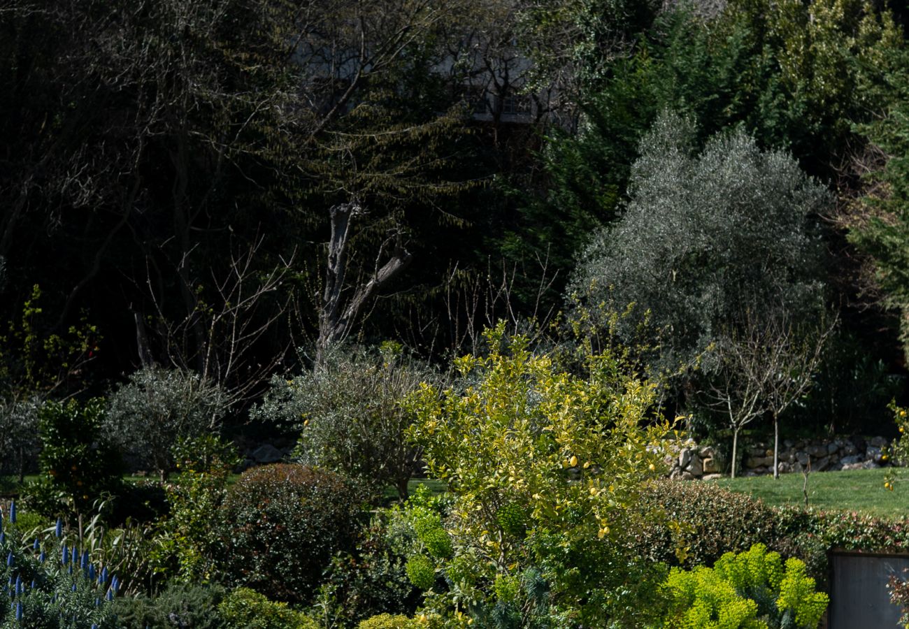 Villa à Villefranche-sur-Mer - Villa La Fontaine