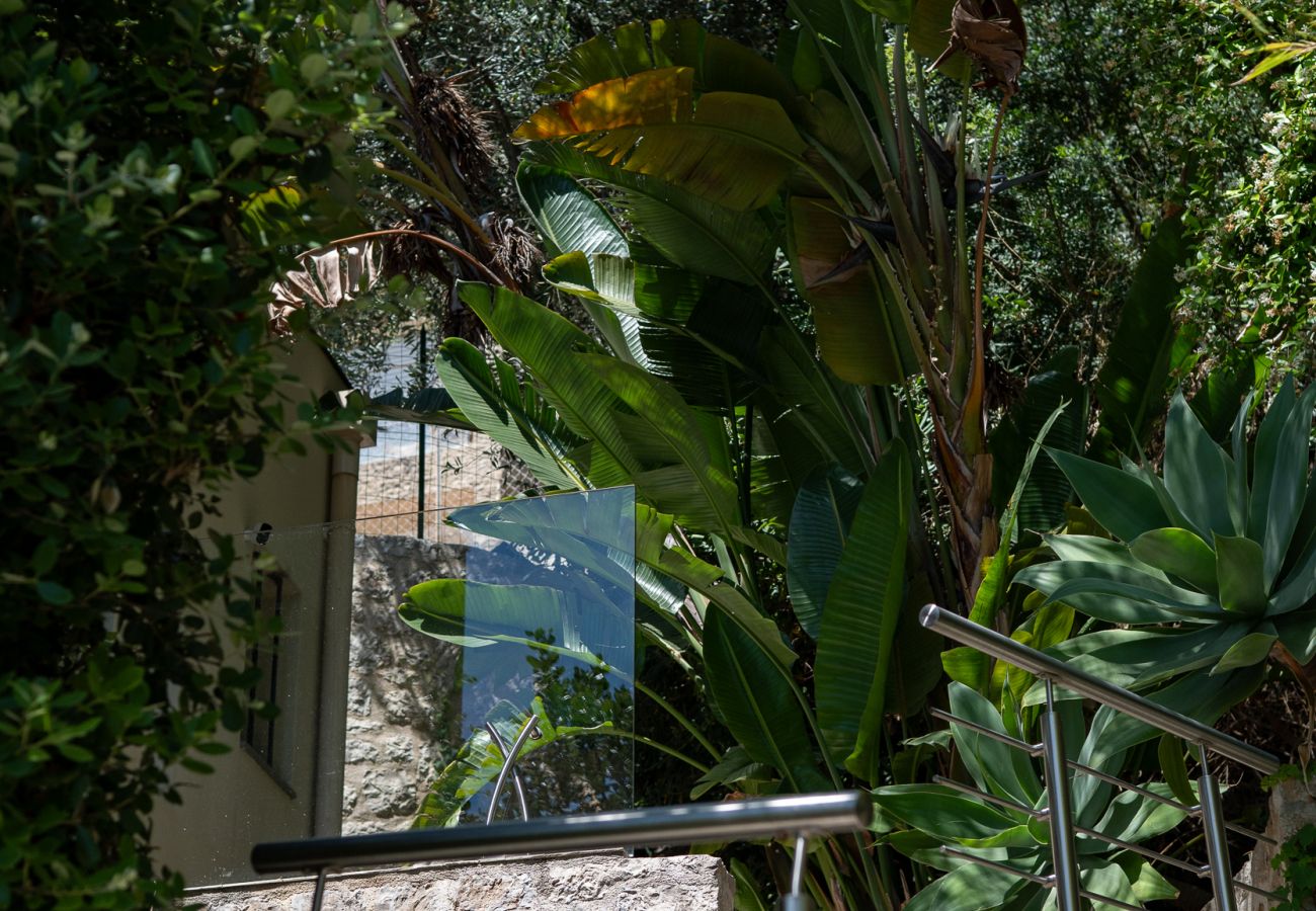 Villa à Villefranche-sur-Mer - La Barmassa