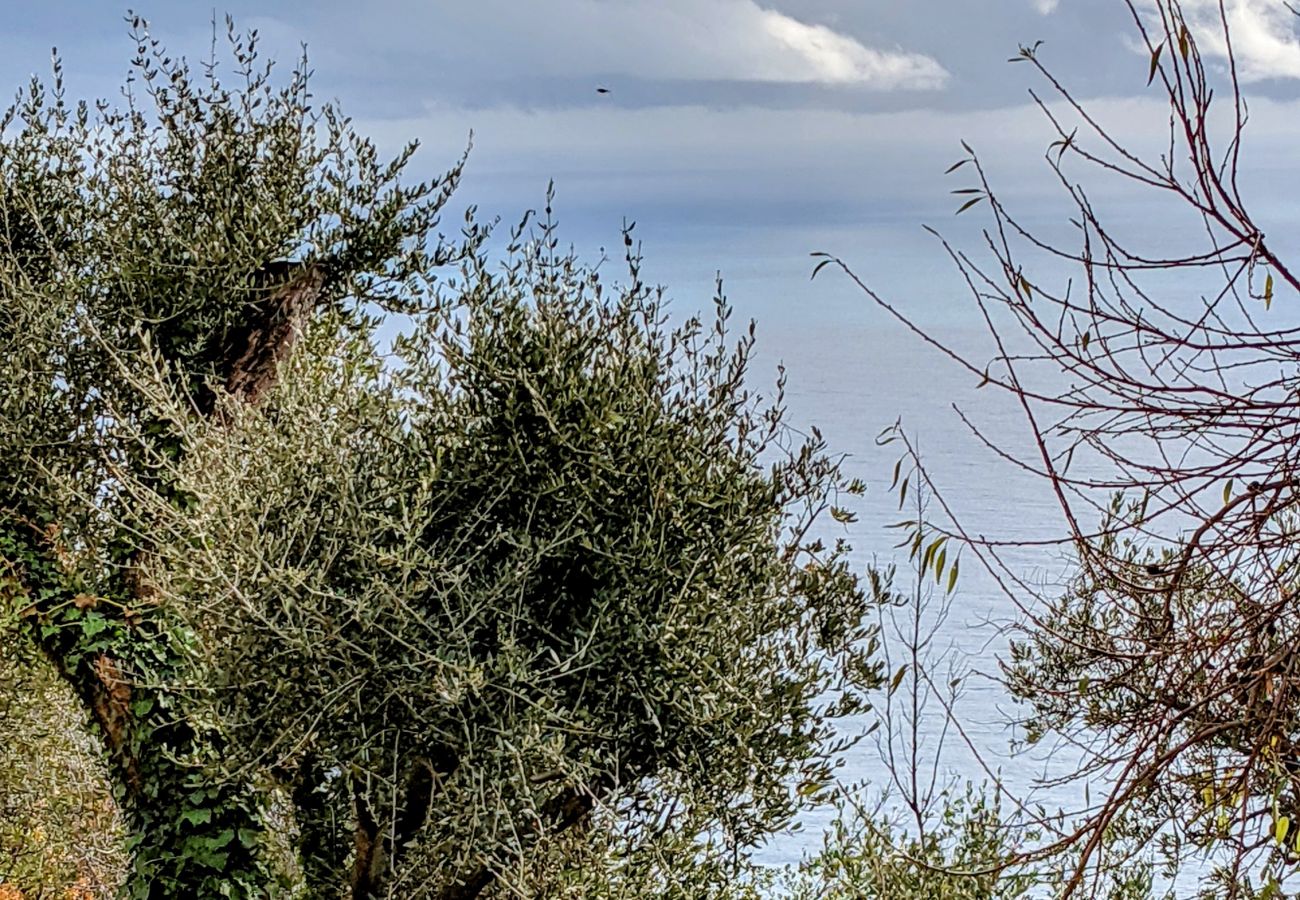 Apartment in Eze - So Infiny