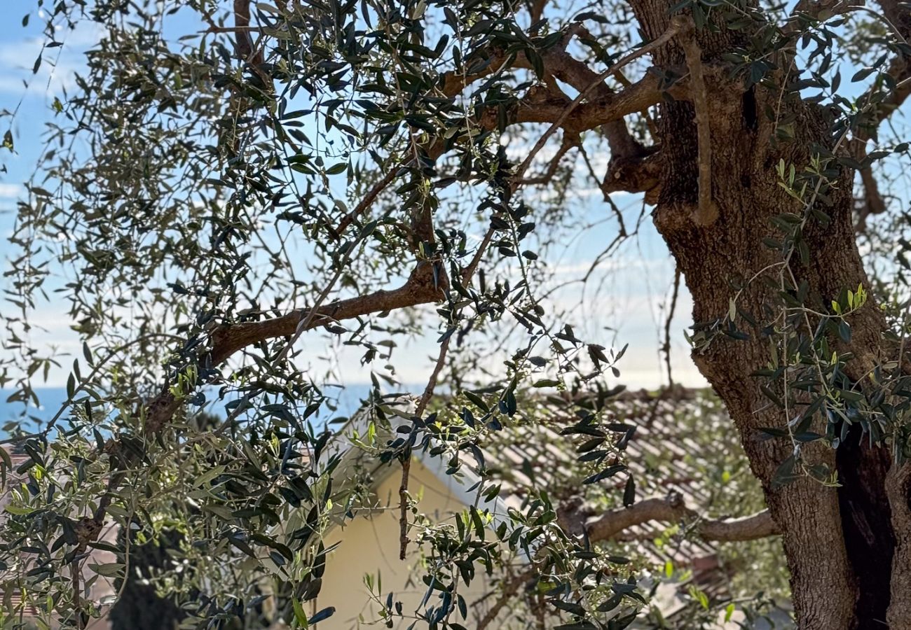 Villa in Beaulieu-sur-Mer - Villa Les Lucioles
