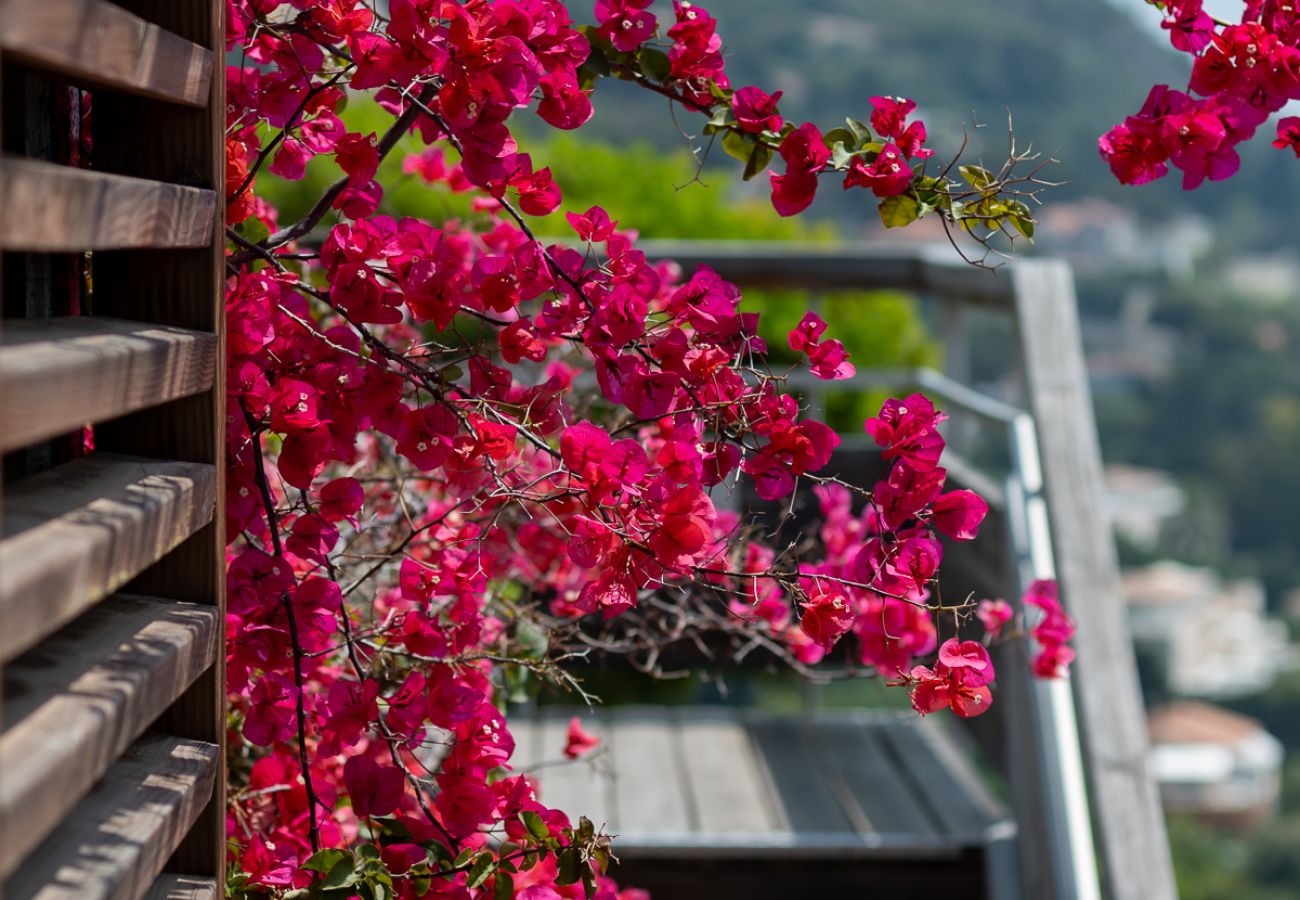 Apartment in Cap-d´Ail - Costa Plana