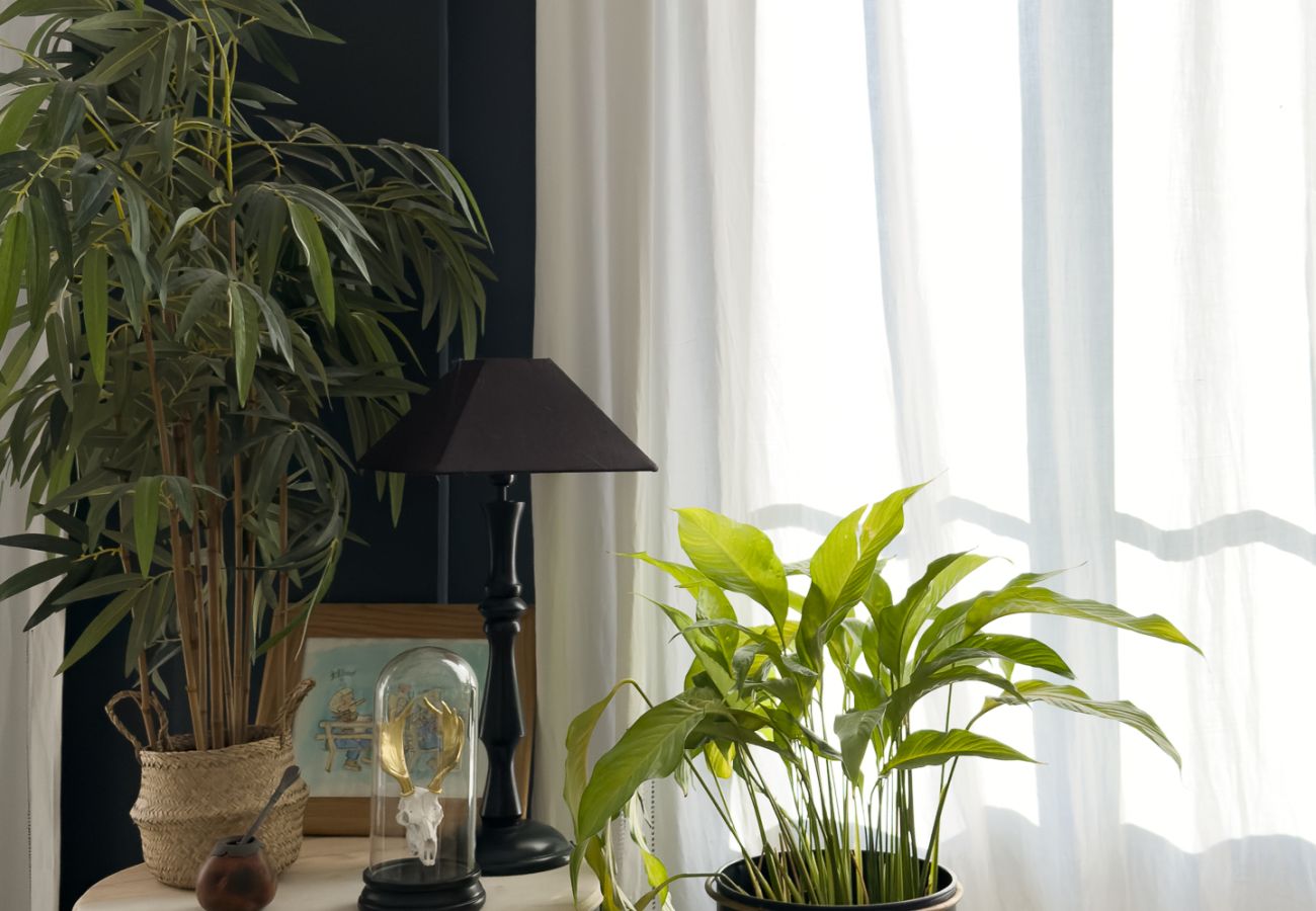 Apartment in Beaulieu-sur-Mer - L'Hermitage