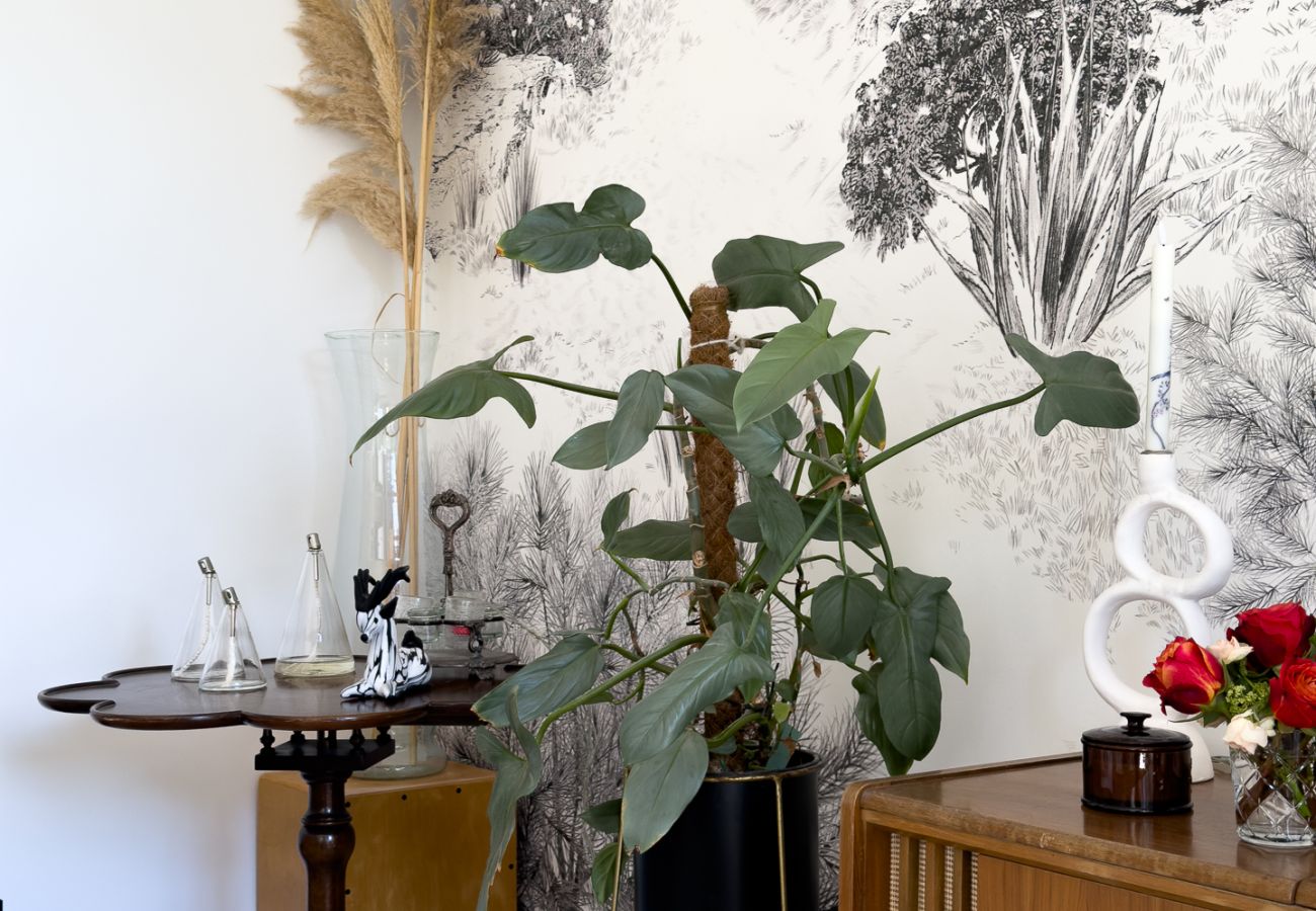 Apartment in Beaulieu-sur-Mer - L'Hermitage