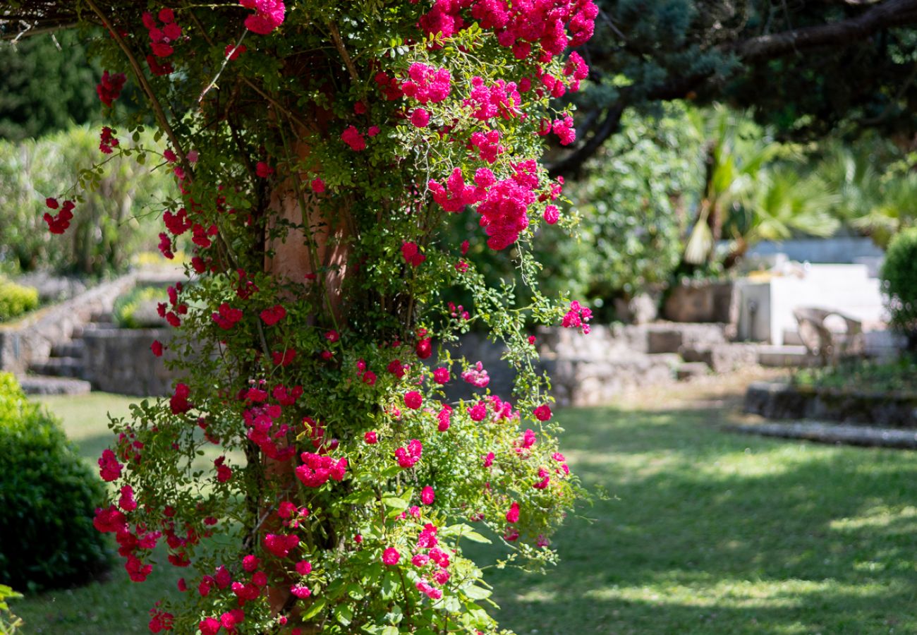 Villa in Nice - Les Amandiers